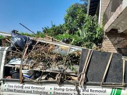 Best Foreclosure Cleanout  in Cleora, OK