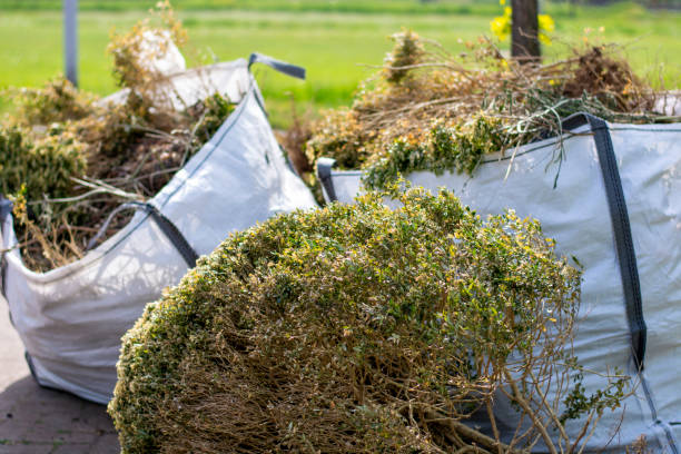 Best Shed Removal  in Cleora, OK